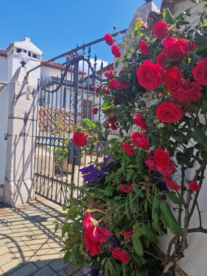 Guesthouse Villa Galovic Brseč Kültér fotó
